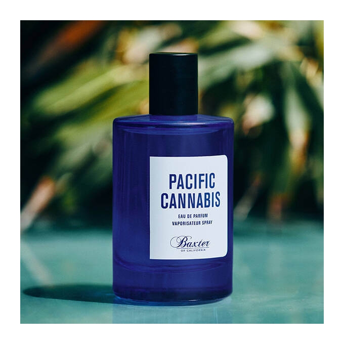 Baxter Pacific Cannabis parfumovaná voda 100 ml