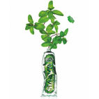 Marvis Classic Strong Mint zubná pasta 85 ml